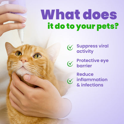 ⏱️ Fast Results 🌟 Official Store | Cvreoz® PetPro Eye Drops