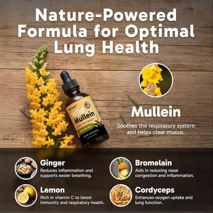 Cvreoz®New Maximum Potency Mullein Drops For Cough Control & Lung Rejuvenation